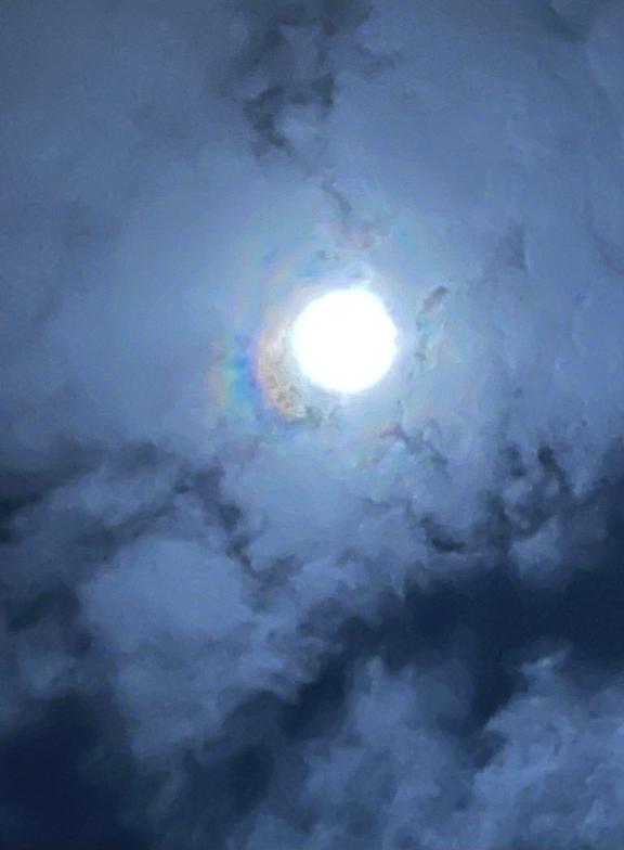 熊本 ソープランド「メンバーズエンゼル」在籍あずささんの投稿写メ日記