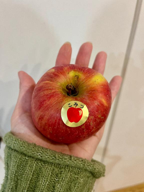 熊本 ソープランド「メンバーズエンゼル」在籍りんかさんの投稿写メ日記