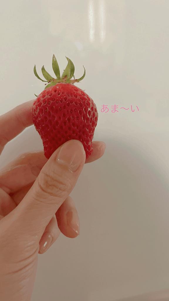 熊本 ソープランド「メンバーズエンゼル」在籍りんかさんの投稿写メ日記