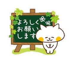 熊本 ソープランド「メンバーズエンゼル」在籍ナナさんの投稿写メ日記